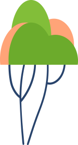 SHAPE